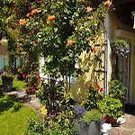 Daire Ripper Saalbach-Hinterglemm