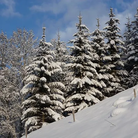 Ripper Saalbach-Hinterglemm