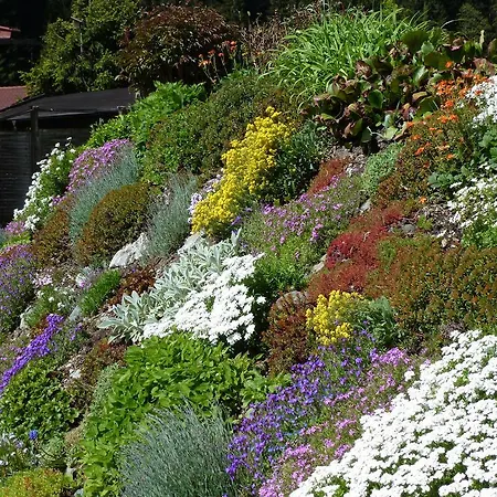 Ripper * Saalbach-Hinterglemm