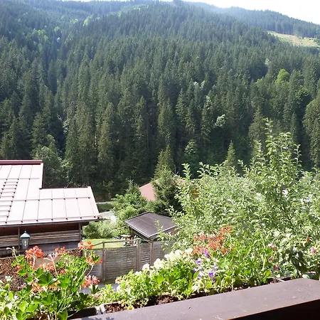 Appartement Ripper *